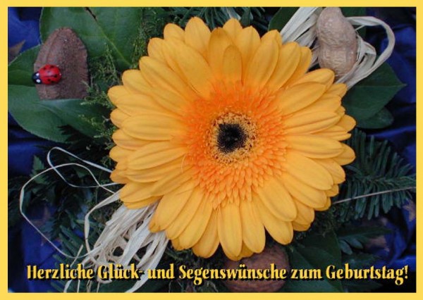 Faltkarte 6 Ex. 'Gelbe Blüte und Käfer'