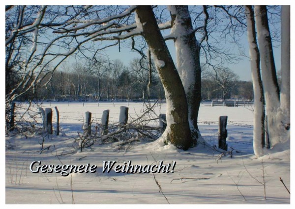 Faltkarte 6 Ex. 'Winterlandschaft'